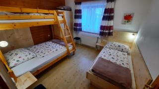 Ferienwohnung Gänser - 2
