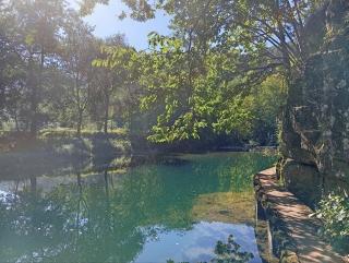 Familiar bajo con jardín en Gibaja - 6