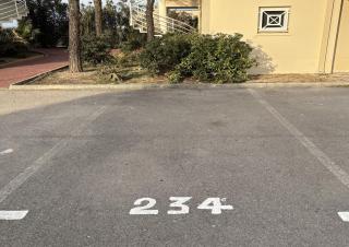 Romantic Evasion - Frontignan - 1
