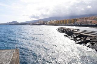 Mandarina 5 - Candelaria - 8