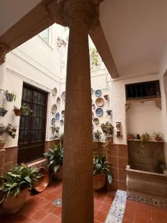 Casa 1919 Central near Cathedral apartments 1A - Granada - 8