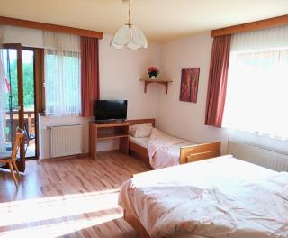 Haus Christof private Ferienwohnungen Nähe Wörthersee und Ossiacher See - Agsdorf - 3