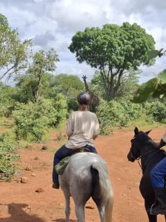 Cawston Encounters - 1