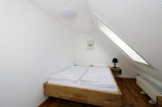 Tannenhof Fischbach - Fewo 5 "Zander" - Schluchsee, 2 Schlafzimmer Schlafgalerie, E-Auto Ladestation - Schluchsee - 2