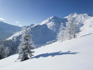 Attractive holiday home in Kaltenbach on the ski-slope - Stumm - 1