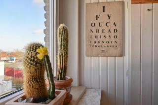 FeWo Deichhof Nr 17 - Kellenhusen - 5