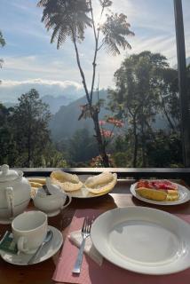 Cloudy Hill Cottage - 4