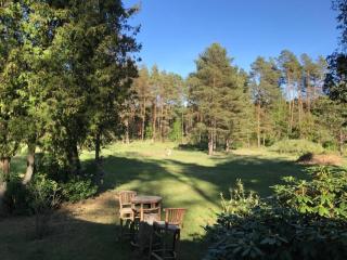 Waldoase 1 - Rheinsberg - 9