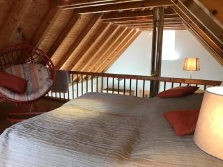 Waldoase 1 - Rheinsberg - 2