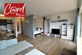 Apartment C46 "Valentine" im Haus Feldbergblick, Lenzkirch, Hochschwarzwaldkarte, Innenpool, Sauna - Lenzkirch - 0