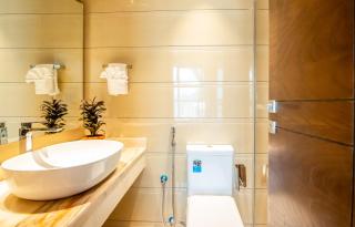 1BHK , 5 mins from DXB airport & metro - 1