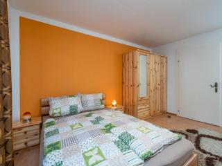 Special Apartment in Walchen with Private Terrace - Piesendorf - 2