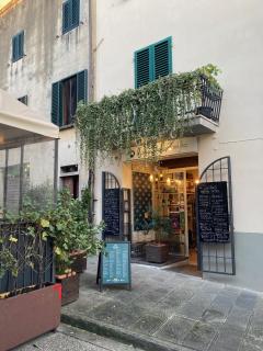 Sangiovese apartment - Montespertoli - 8