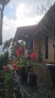 Lake Lovers Cafe & Homestay - 6