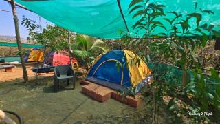 Sea Touch Beach Resort - Harihareshwar - 2