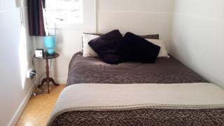 Rural location in Te Aroha just 2 km from town - 4