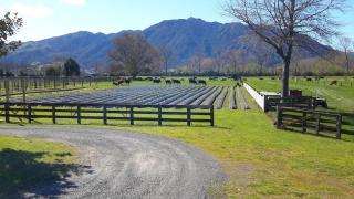 Rural location in Te Aroha just 2 km from town - Te Aroha - 3