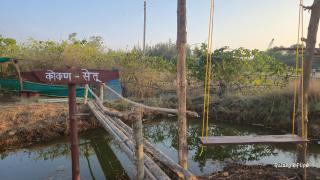 Sea Touch Beach Resort - Harihareshwar - 9