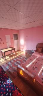 Lake Lovers Cafe & Homestay - Pokhara - 8
