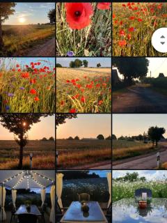 Landleben! Bungalow Feldblick 5 Personen - Blankensee - 9