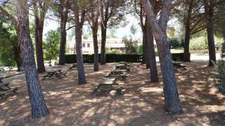 Agriturismo La Ripa - Montorio Romano - 6