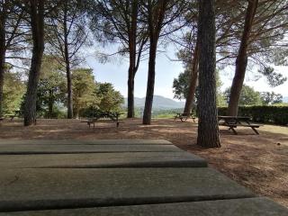 Agriturismo La Ripa - Montorio Romano - 5