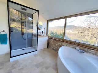 Villa Piscine intérieure et forêt - 3