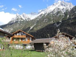 Gänseblümchen -805- - Mittenwald - 1