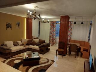 Entire resident appartement at Cairo city center - Il Cairo - 0