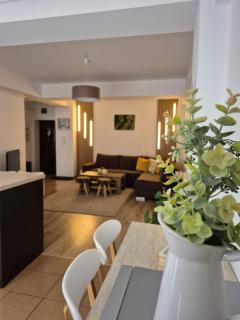 Angel apartament - Sibiu - 7