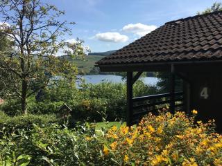 Cosy Modern Nordic Lodge w/ Loch View & Log Burner - Lochearnhead - 9