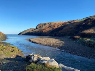 Badger Banc - Pembrokeshire - 1