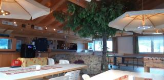 App 1 - Farbennest mit Frühstück Teeküche - 3