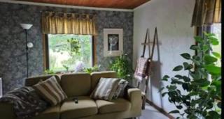 Urlaub mit Hund Bauernhof in Alleinlage in Finnland - 7