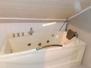 Urlaub mit Hund Bauernhof in Alleinlage in Finnland - 1