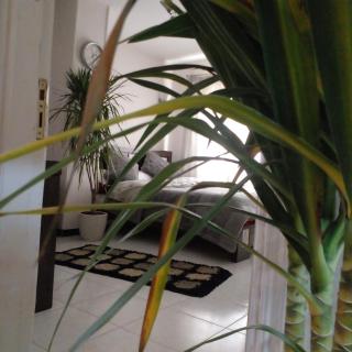 شقق صفوه الجوهره - 1