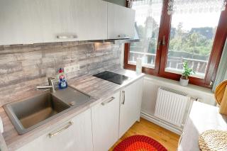 Bull FW 1 - Zingst - 6