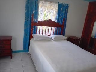 Vikki's villa - Linstead - 8