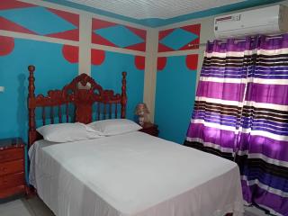 Vikki's villa - Linstead - 5