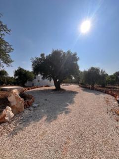 Trullo Elais - Ostuni - 2