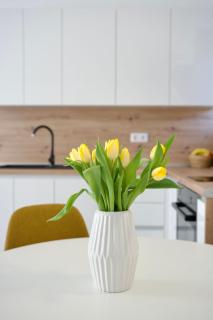 Apartman Nives - 6
