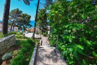 Apartment 4 - a87548 - Baška Voda - 2