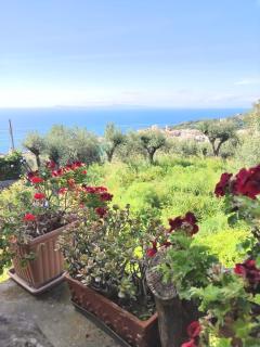 The Sirens' Refuge - Massa Lubrense - 2