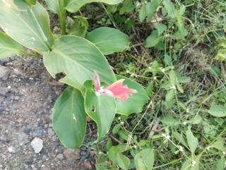 Sandipnee stay - Indore - 2