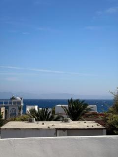 Wanas hostel - Dahab - 0