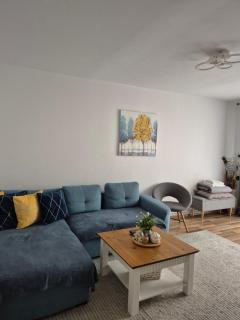 Angel Residence - Sibiu - 9