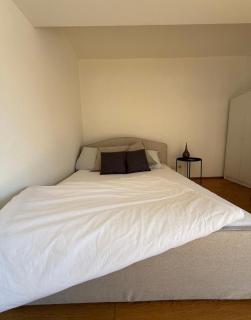 Cozy StudioApartment with Graden in Graz Free Parking - Graz - 2