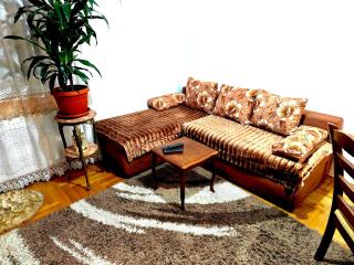 Apartment Banja Luka - Banja Luka - 4