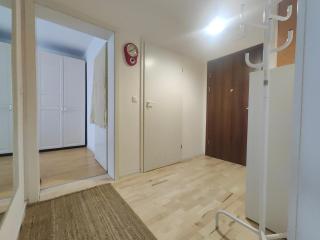 Attic 4685 - 1