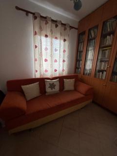 Mimoza - Tirana - 1